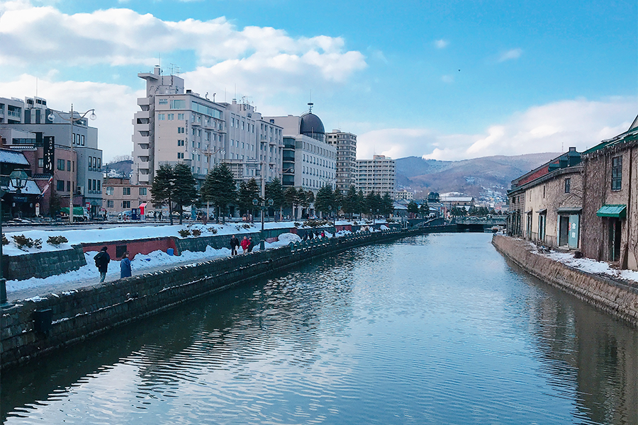 [흰그림자투어] [1박2일] 홋카이도 비에이 & 후라노, 비에이 & 오타루 투어 (코스 선택)