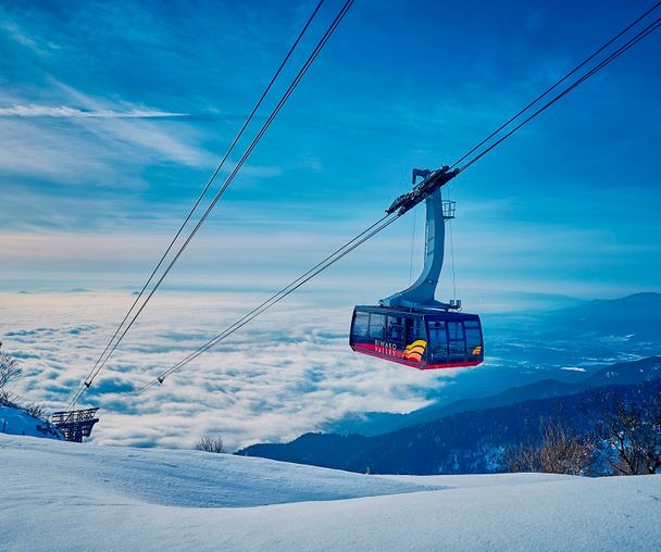 activity_detail_image