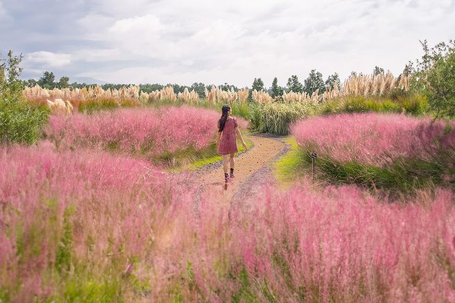 제주 카멜리아힐 입장권 + 3종 혜택