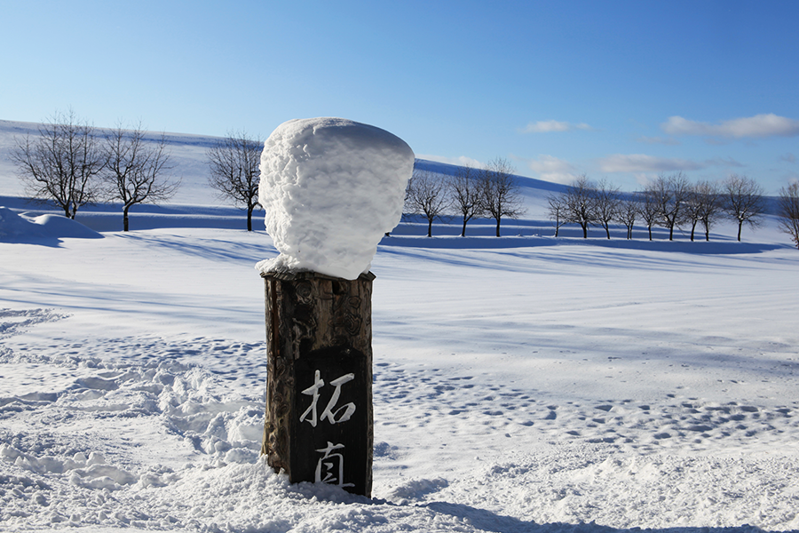 [흰그림자투어] 홋카이도 비에이 후라노 소규모 디럭스 일일투어