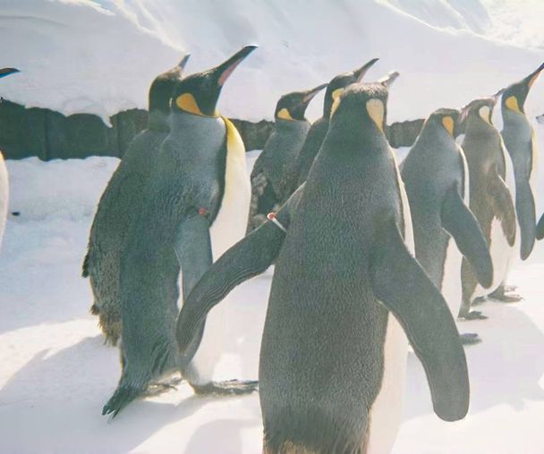 activity_detail_image