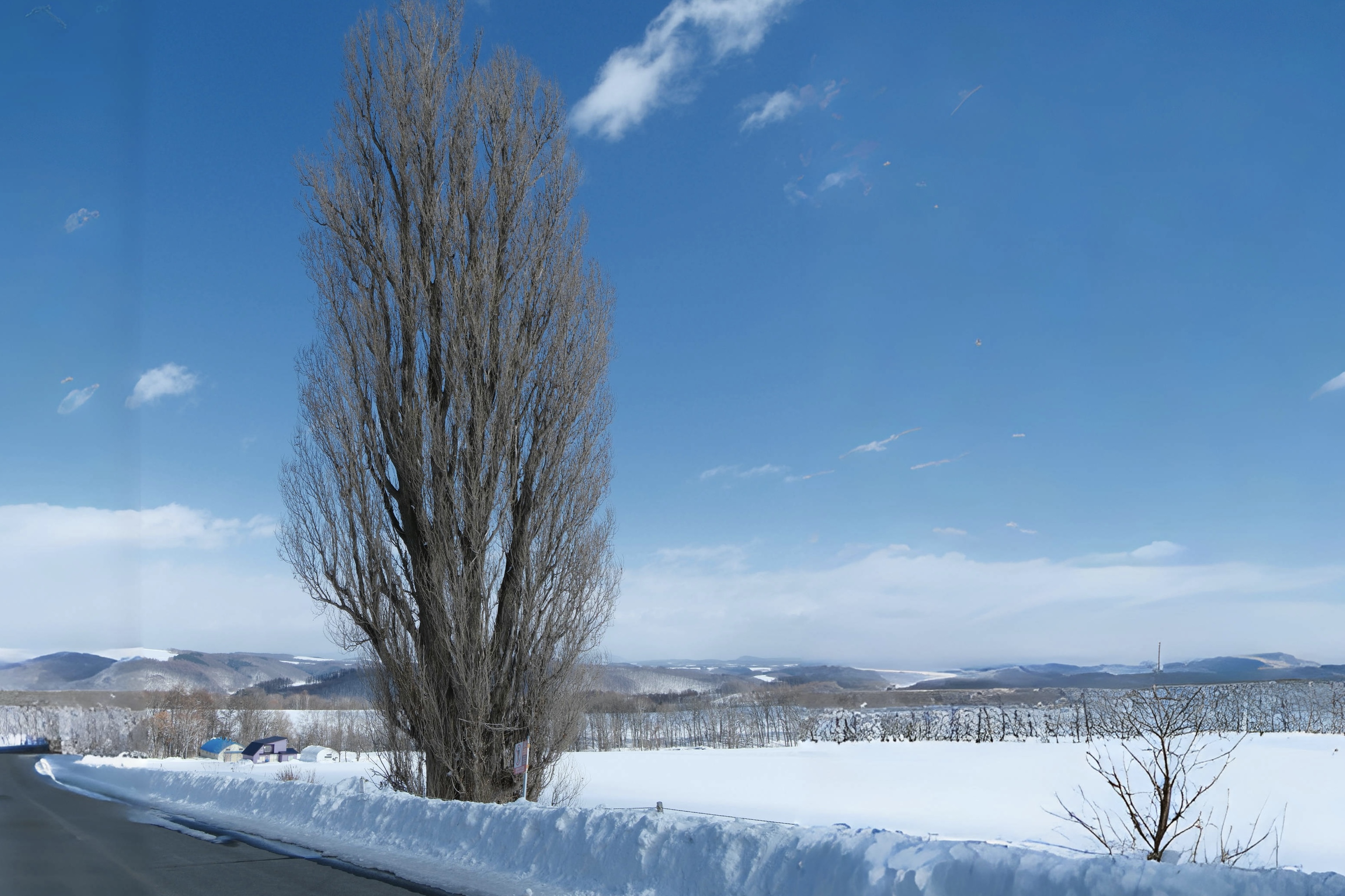 activity_detail_image