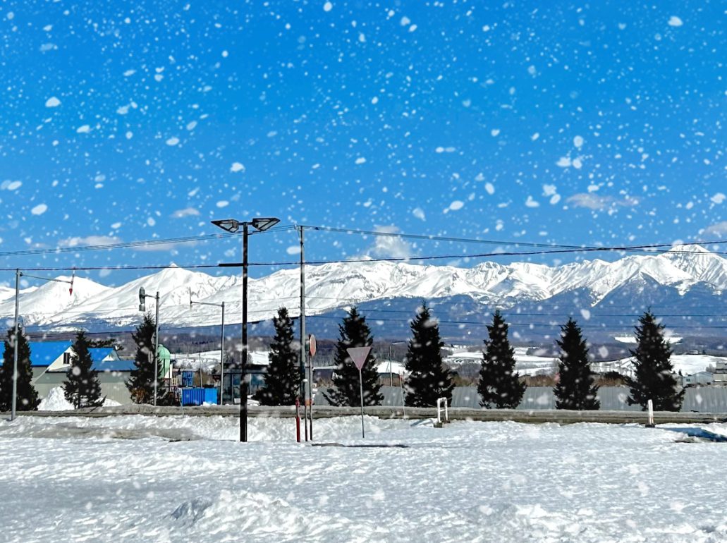 activity_detail_image