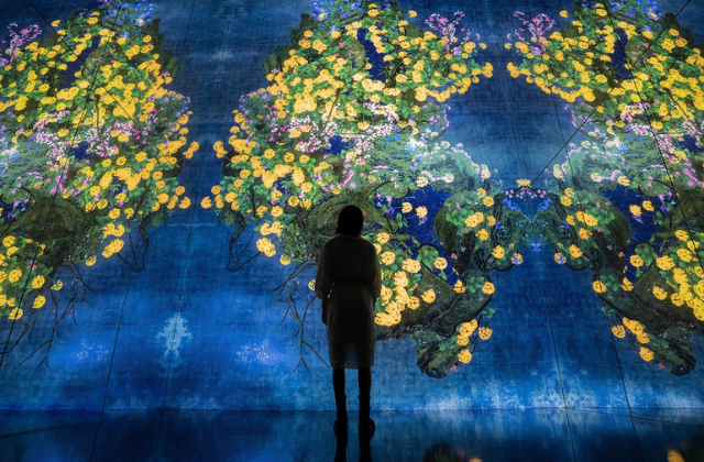 activity_detail_image