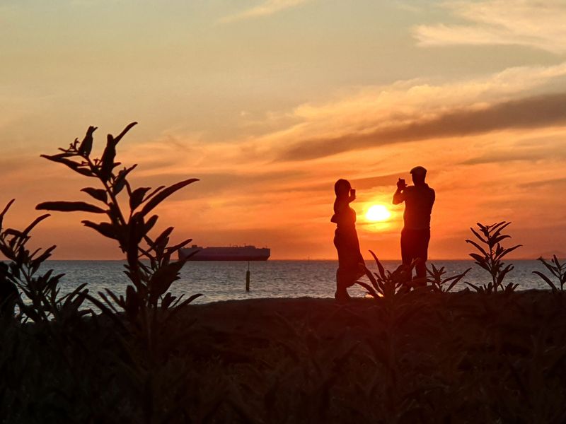 [마이웨이트래블] 멜버른 그레이트 오션로드 선셋 단독 투어 (픽업 & 샌딩)