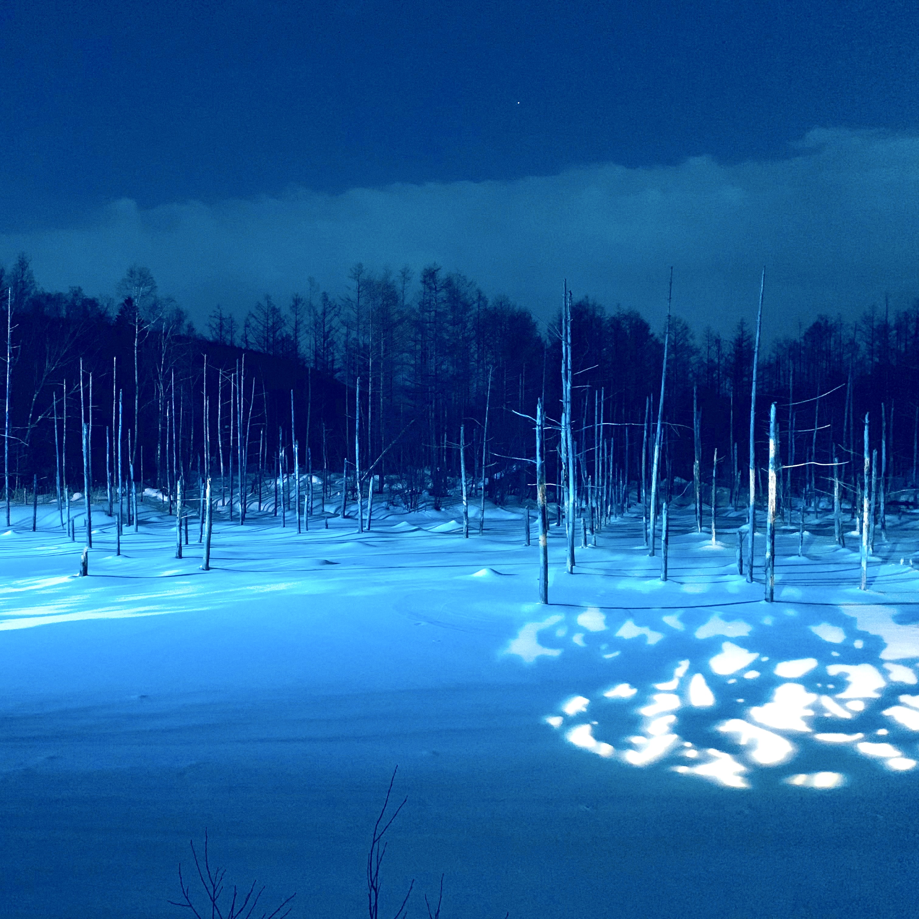 activity_detail_image