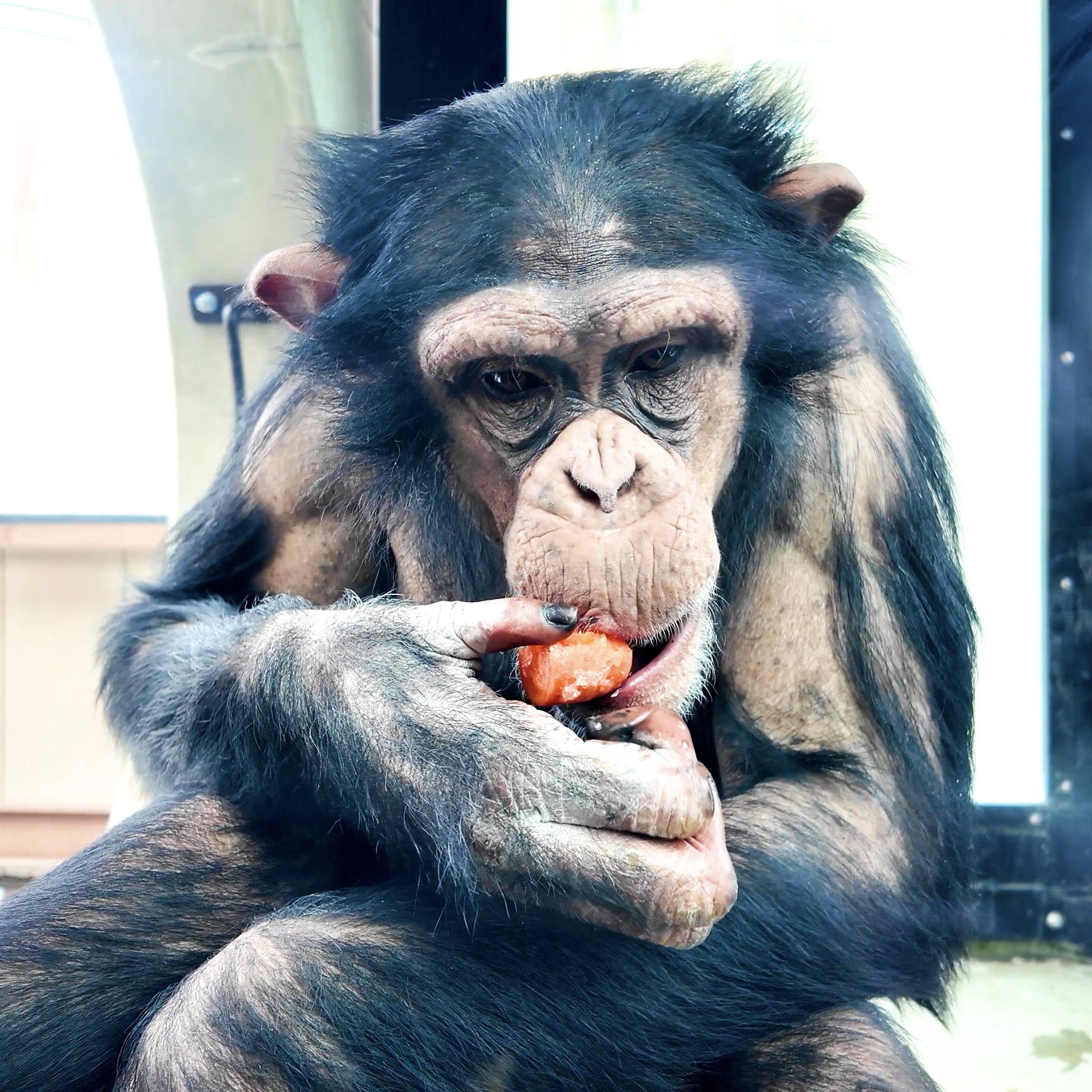 activity_detail_image