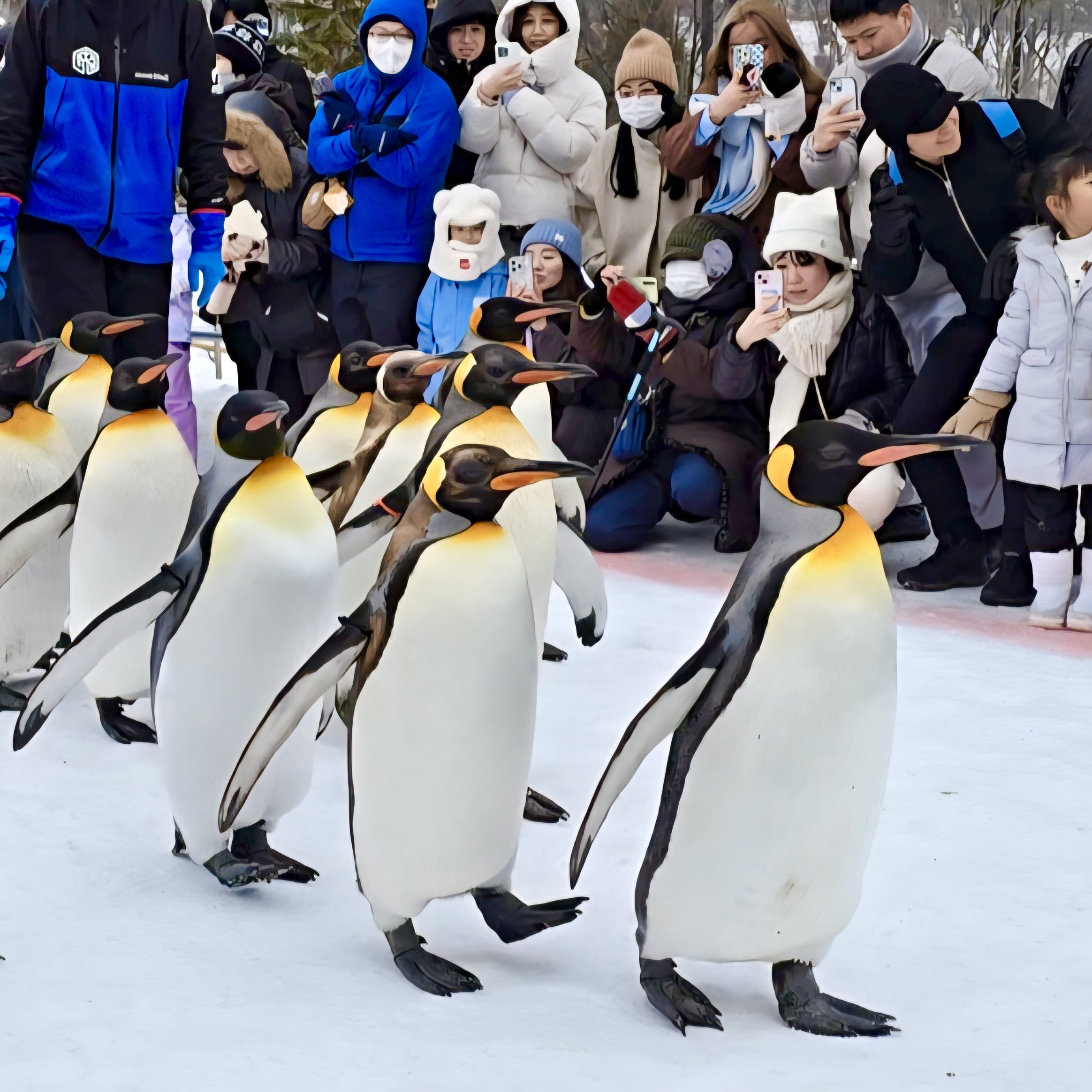 activity_detail_image