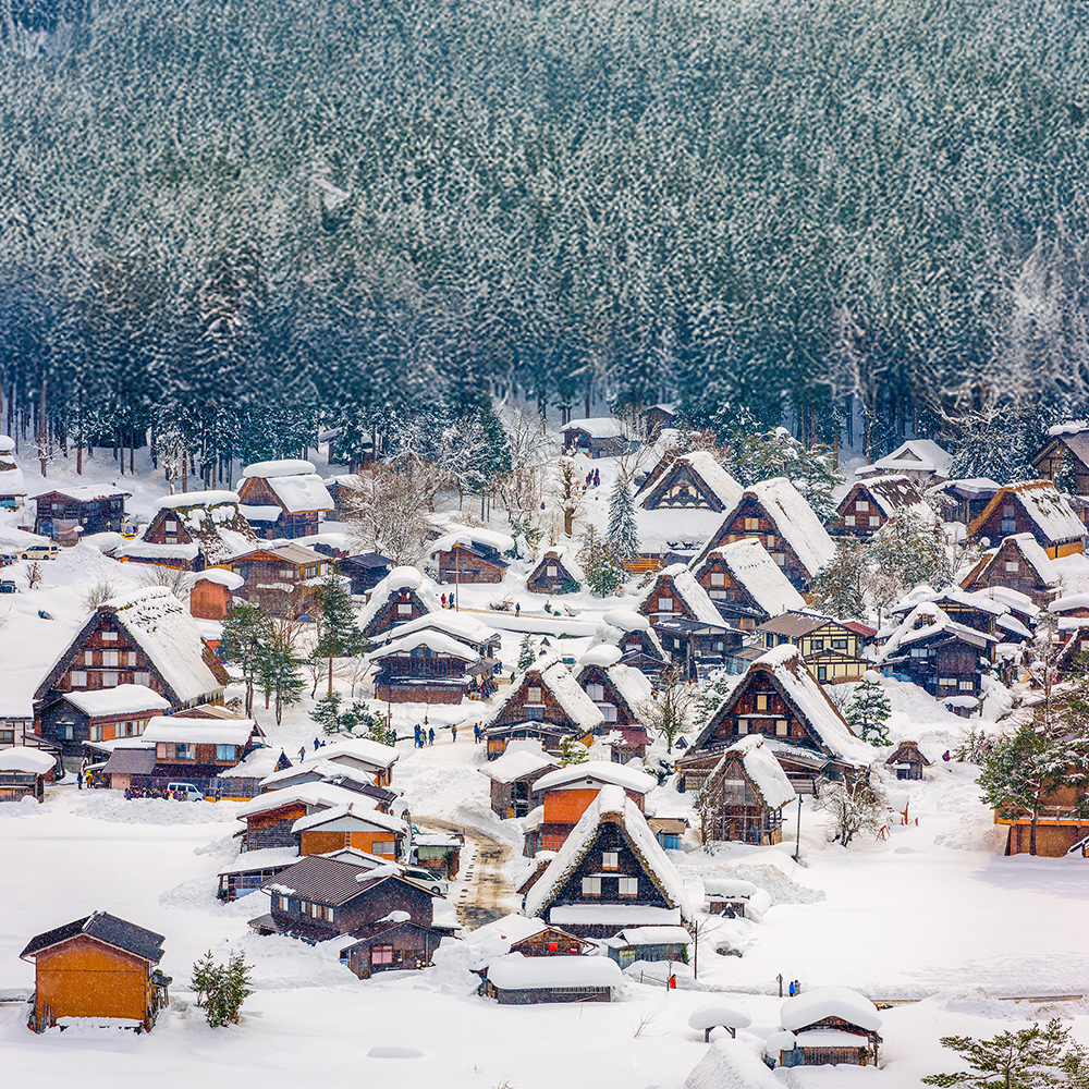 [독점할인] [아이트립] 나고야 출발: 시라카와고 & 다카야마 일일 버스투어 (한국어 가이드)