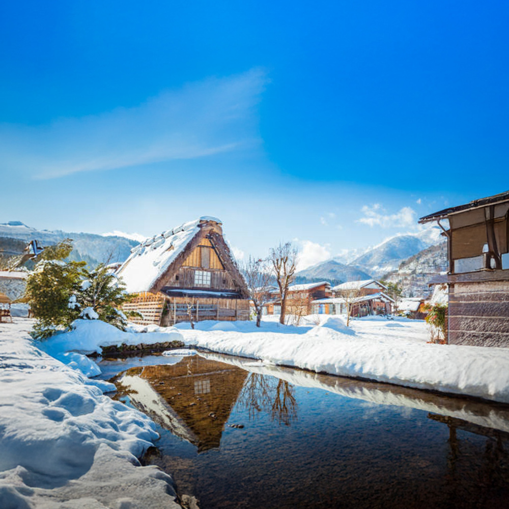 [독점할인] [아이트립] 나고야 출발: 시라카와고 & 다카야마 일일 버스투어 (한국어 가이드)