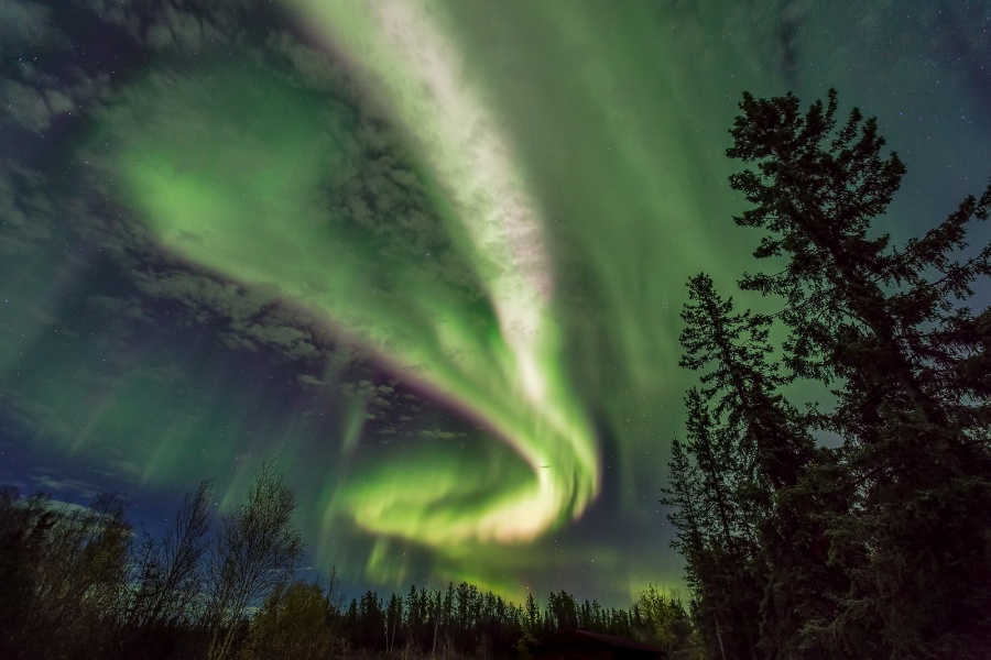 activity_detail_image