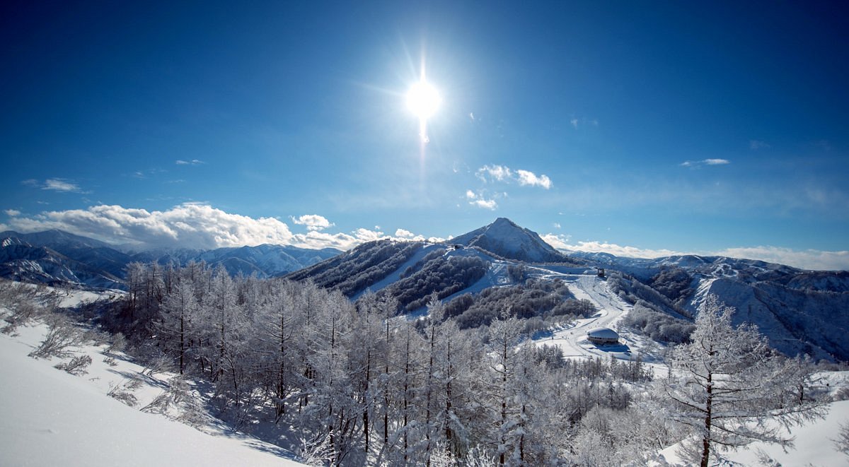 activity_detail_image