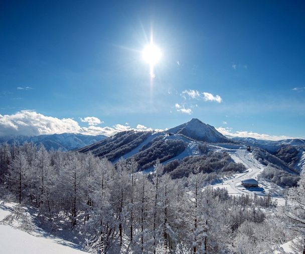 activity_detail_image