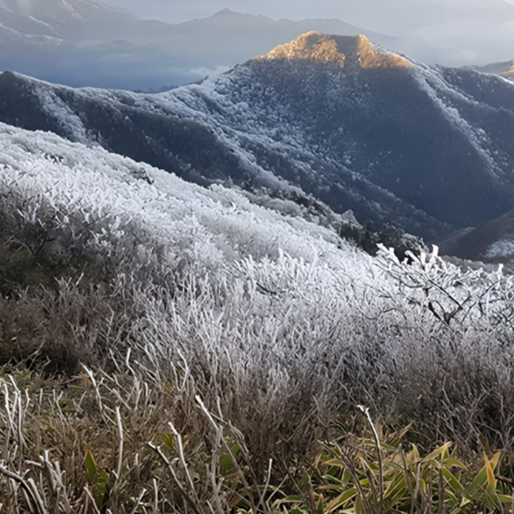 전북 무주 덕유산 곤도라 탑승권