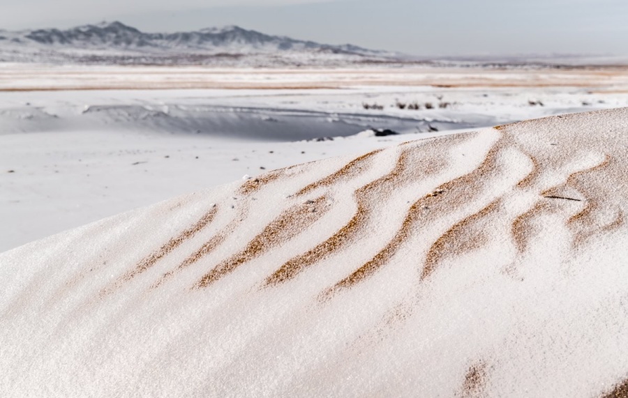 [모코투어] [3박 4일] 겨울 몽골여행  중부코스 VIP 올인원 패키지 투어