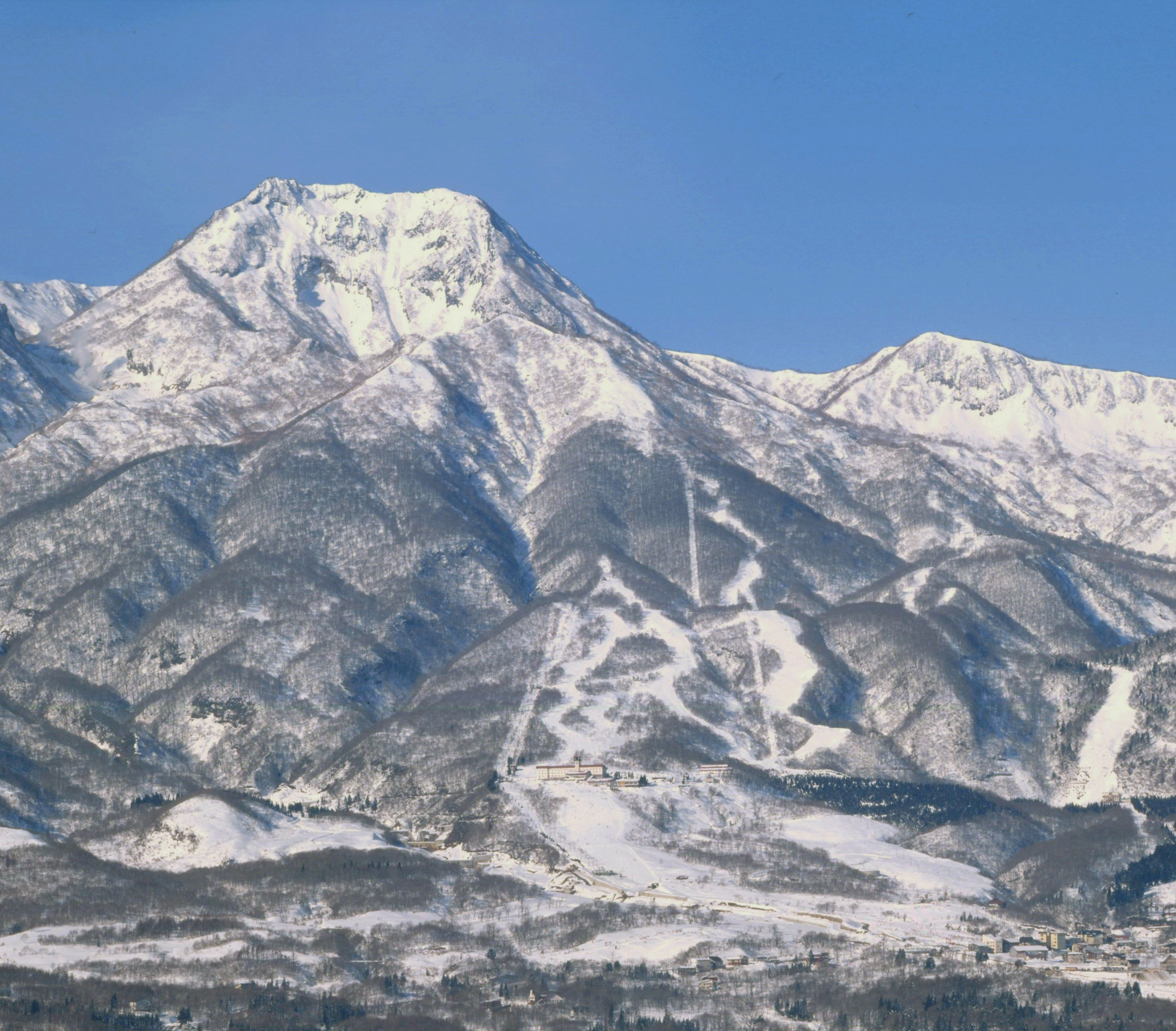 activity_detail_image