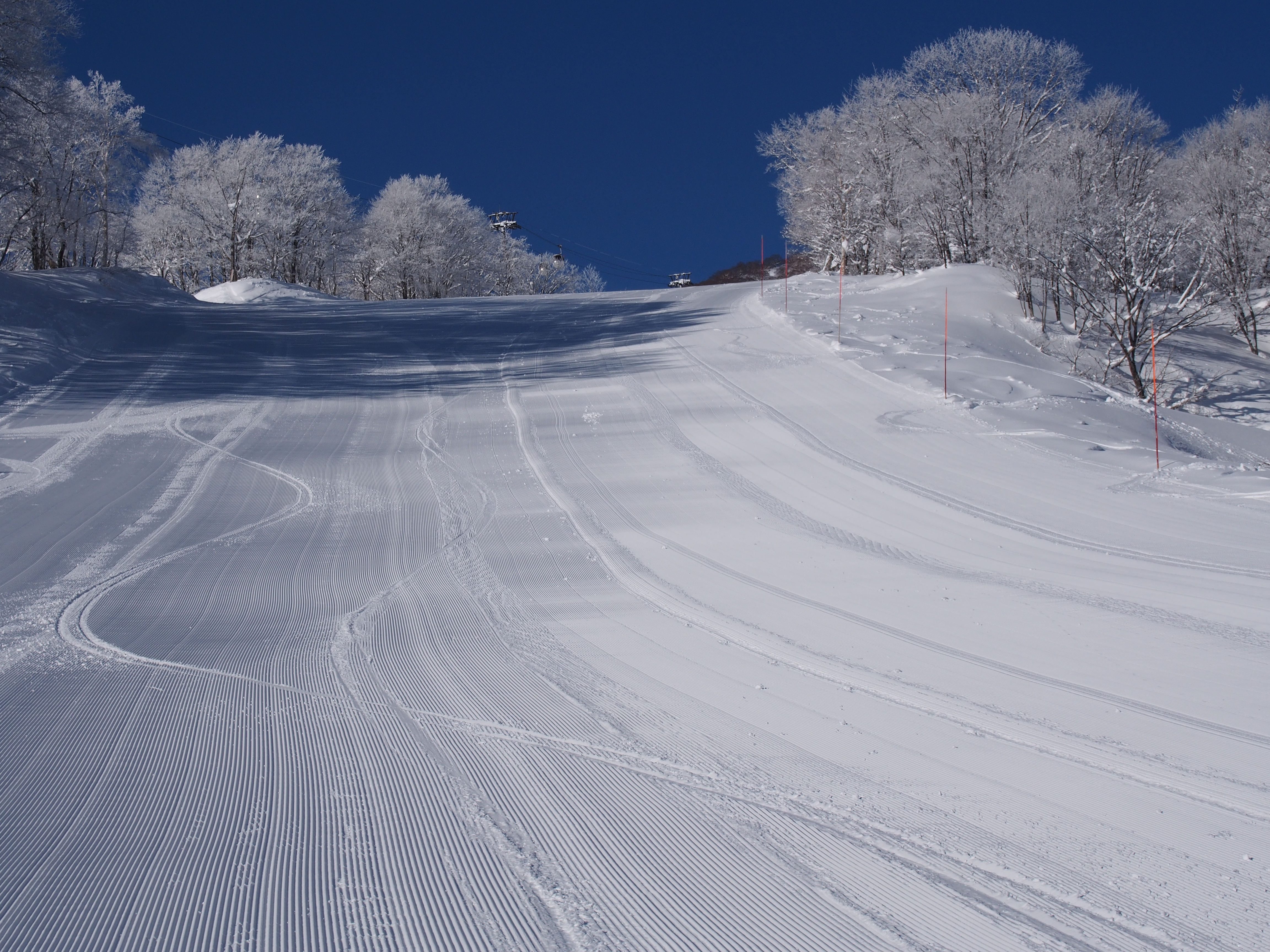 activity_detail_image