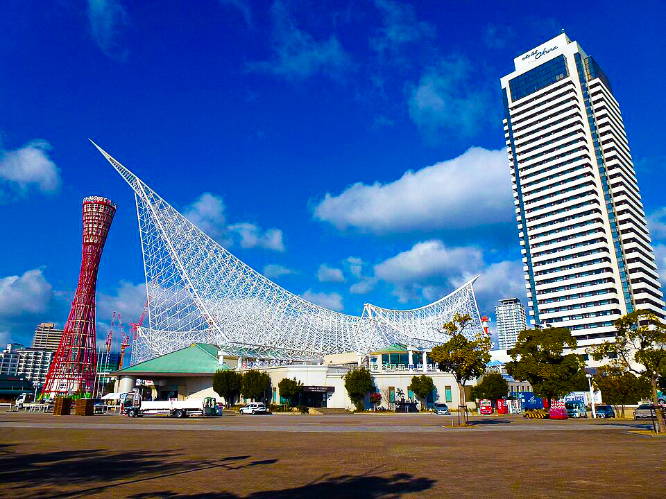 activity_detail_image