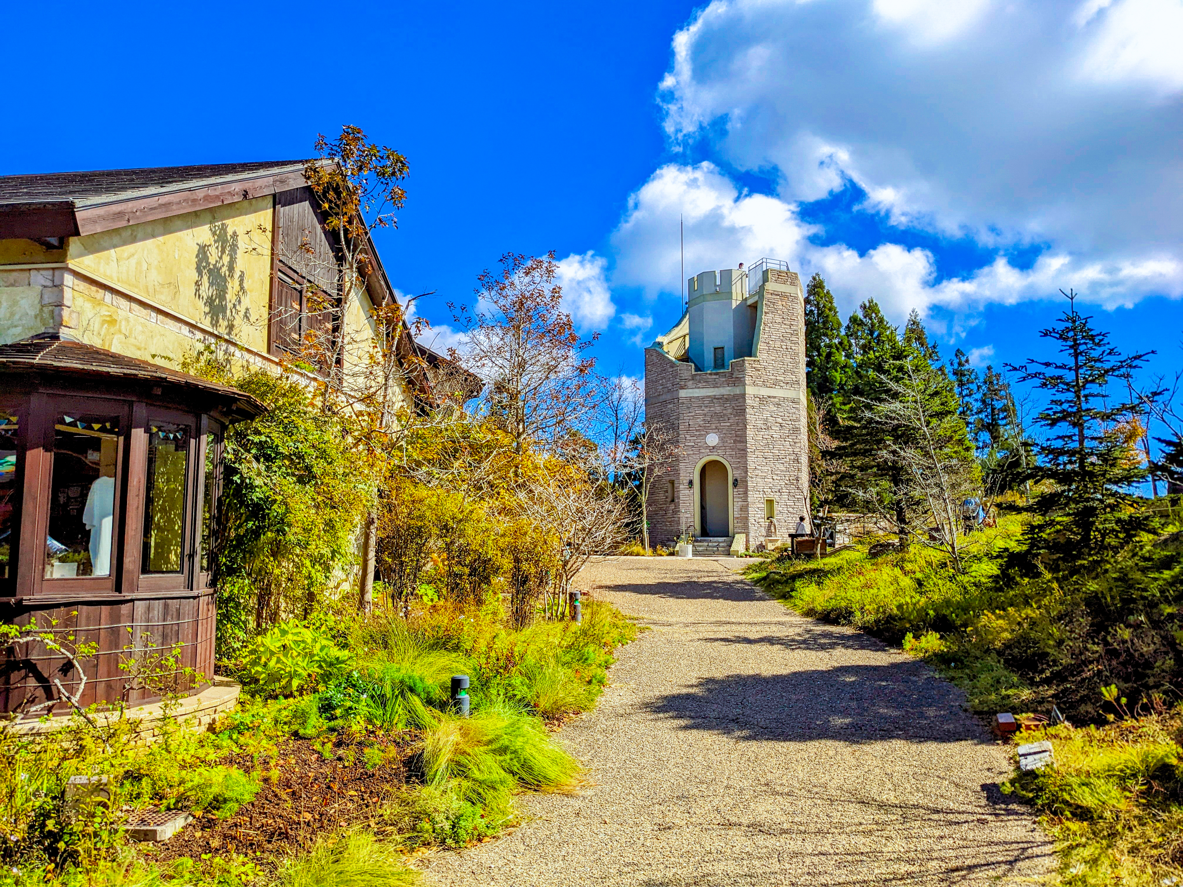 activity_detail_image