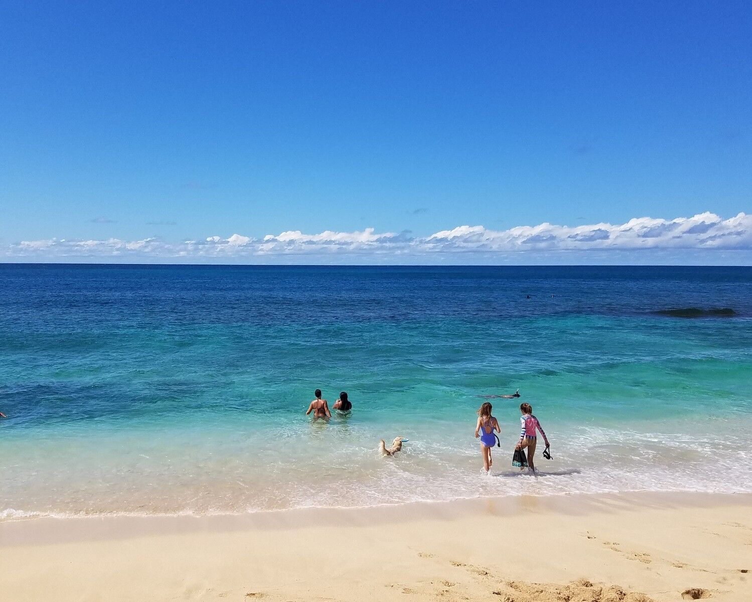 activity_detail_image