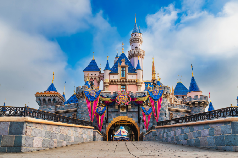 Disneyland Resort in California 1-Day Ticket