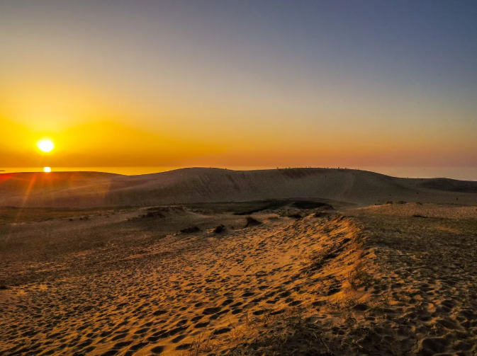 Tottori Departure: Sand Dunes Sunset & Enchanting Winter Night Tour!