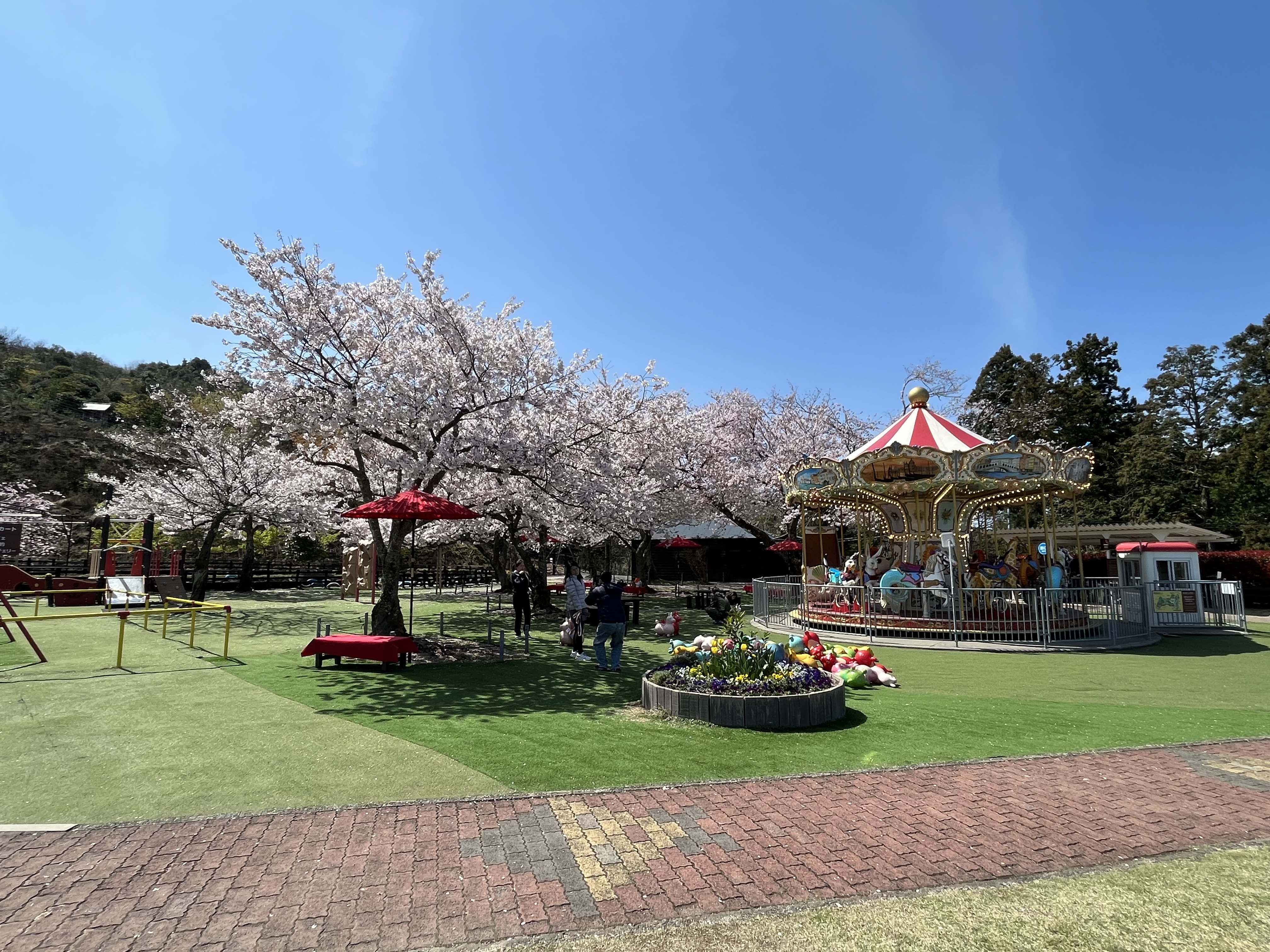 activity_detail_image