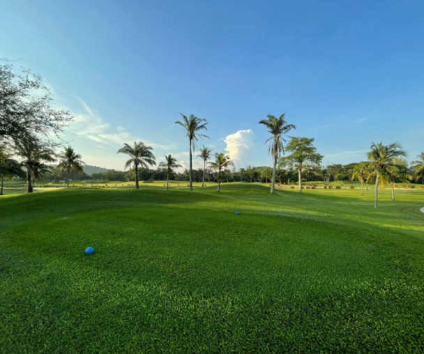 activity_detail_image