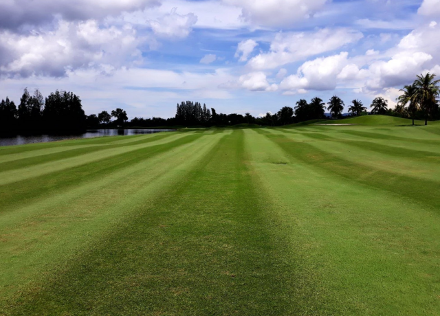 파타야 카오 키여우 컨트리 클럽 - 18홀 그린피 + 카트피 + 캐디피