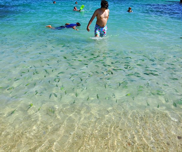 activity_detail_image