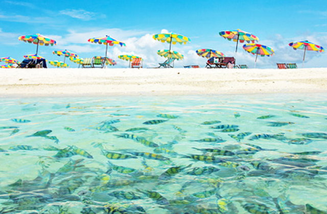 activity_detail_image