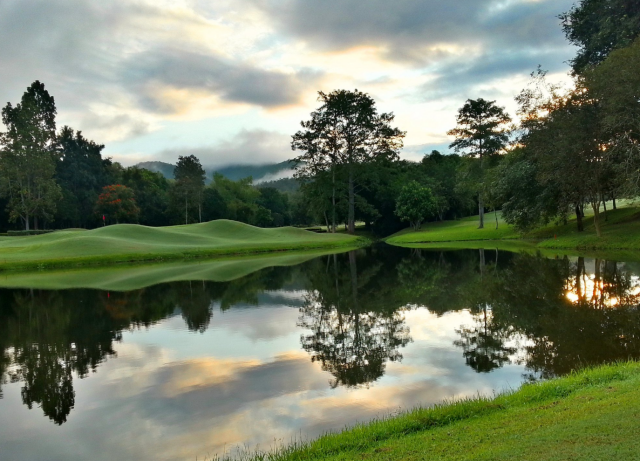 activity_detail_image