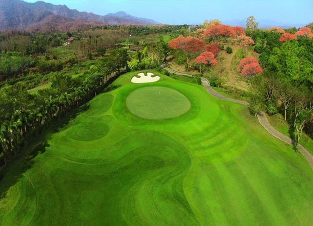 activity_detail_image