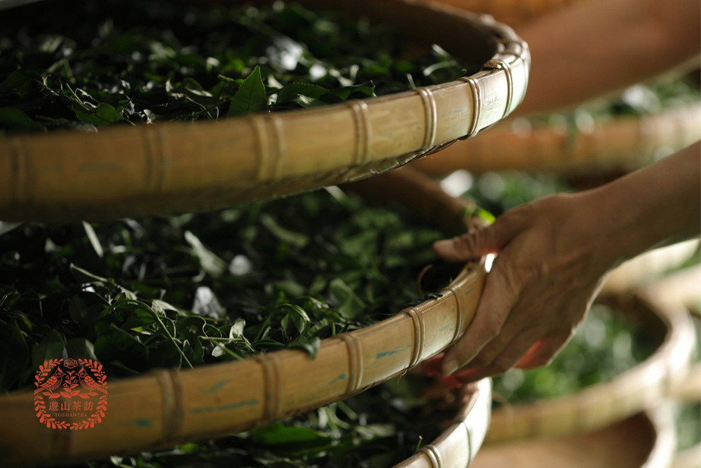 台北 邀山茶坊 台湾バブルティーDIY体験