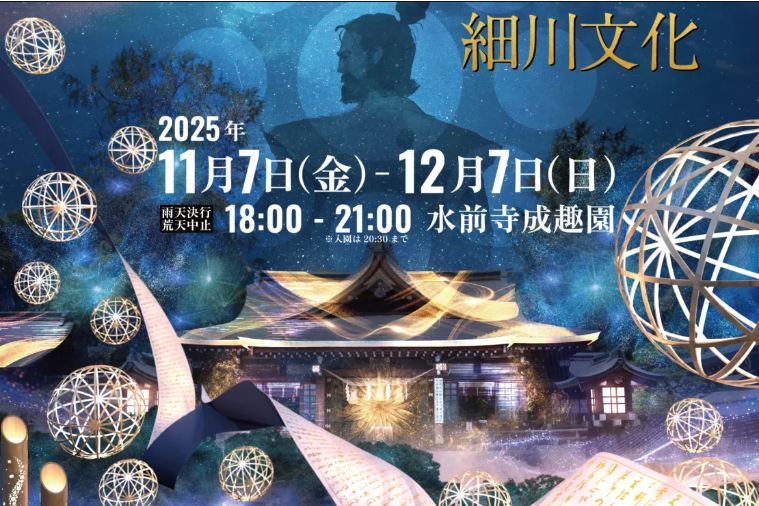 구마모토 럭스 나이트 2025 입장권