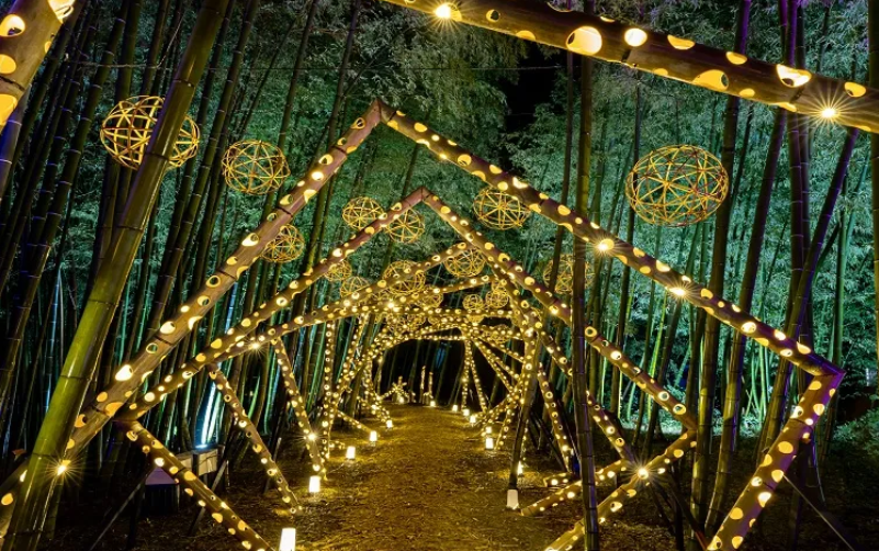 Fukuoka-Departure Bus Tour: Kumamoto Miyamoto Musashi Light Art