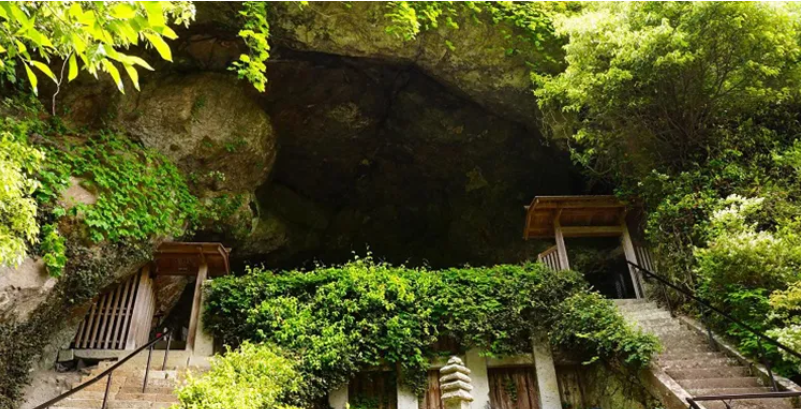 activity_detail_image