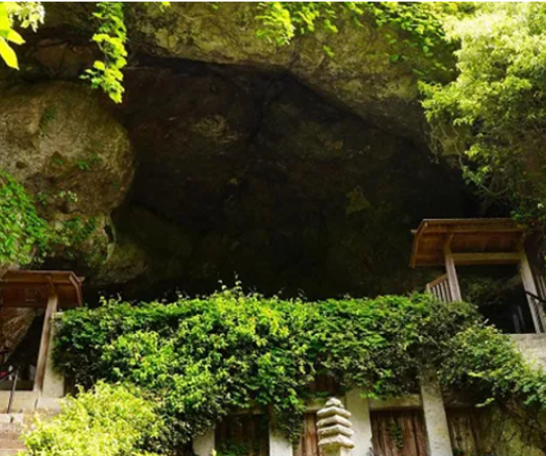 activity_detail_image