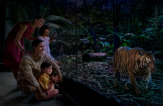 싱가포르 나이트 사파리 크리처스 오브 더 나이트 쇼 지정석 티켓