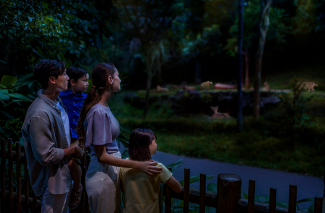 activity_detail_image