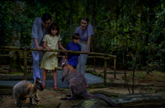 activity_detail_image