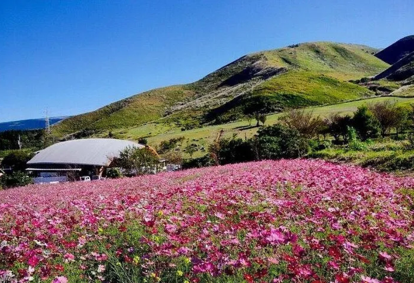 activity_detail_image