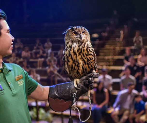 activity_detail_image