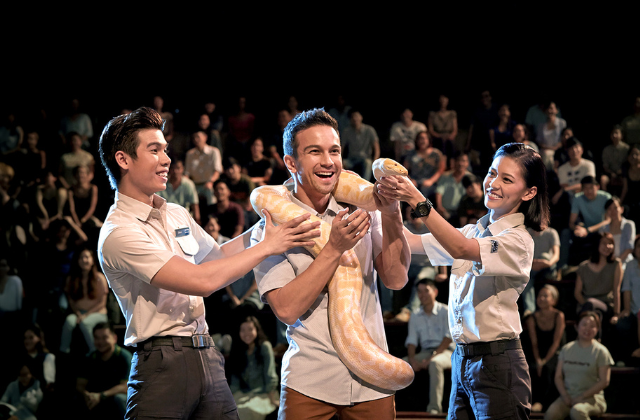 싱가포르 나이트 사파리 크리처스 오브 더 나이트 쇼 지정석 티켓