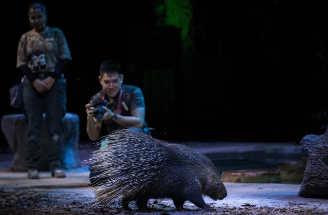 activity_detail_image