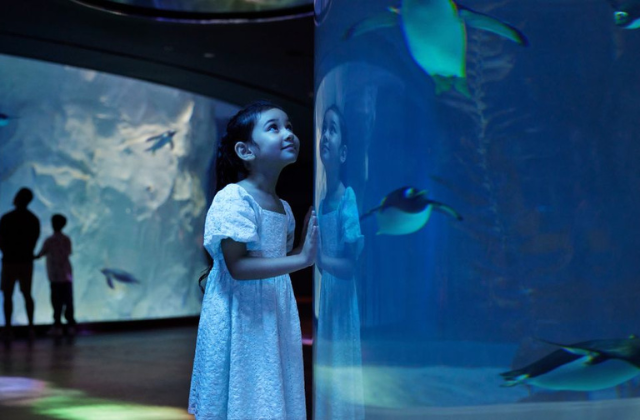 activity_detail_image