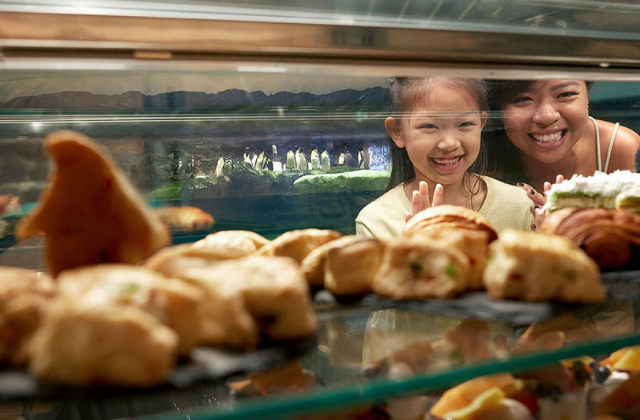 activity_detail_image