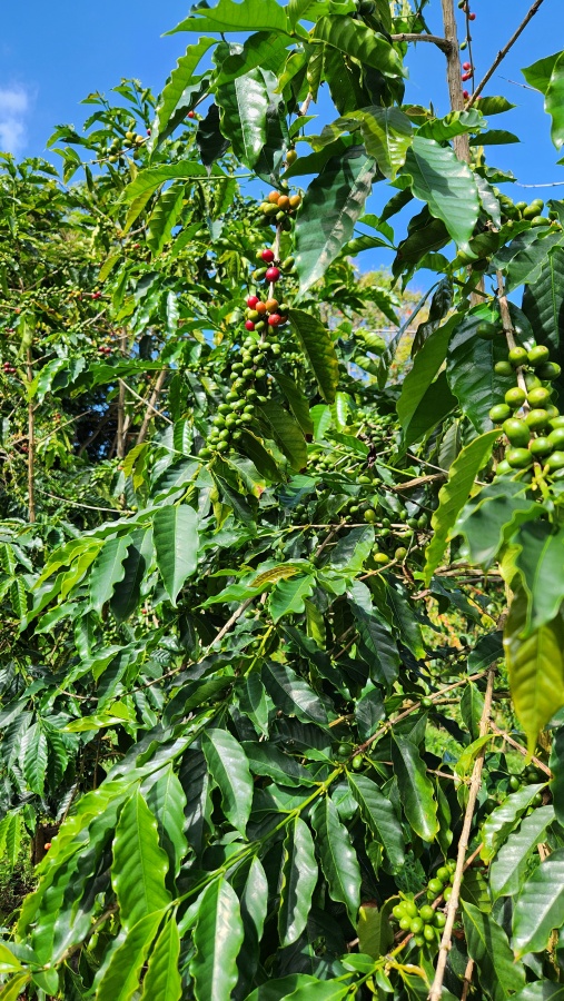 activity_detail_image