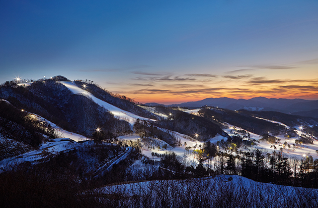 강원 오크밸리 25/26 스키 & 장비렌탈 시즌권