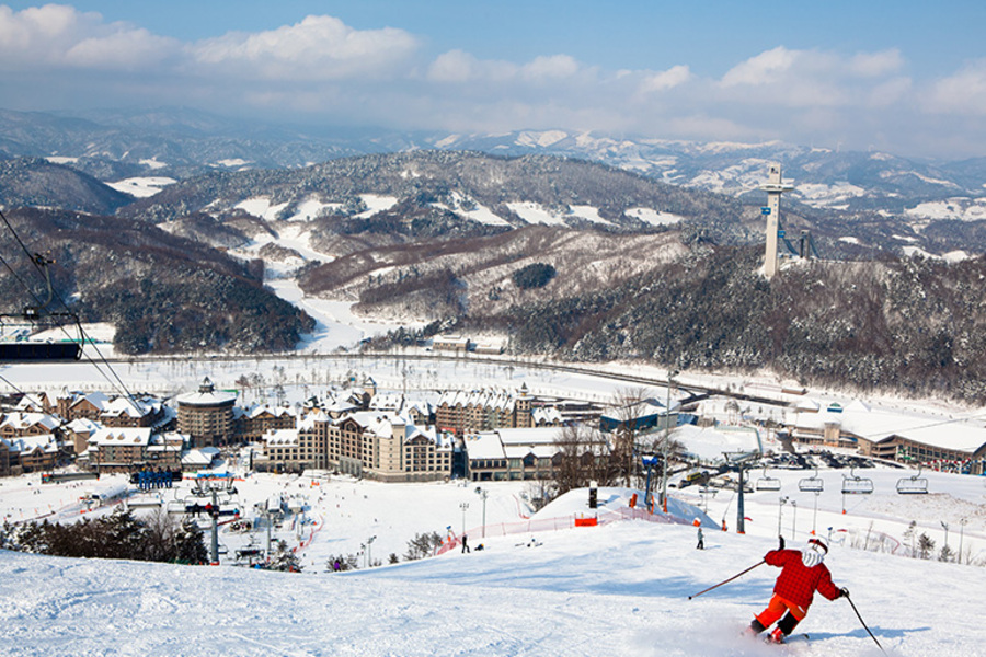 평창 알펜시아리조트 25/26 스키 시즌권